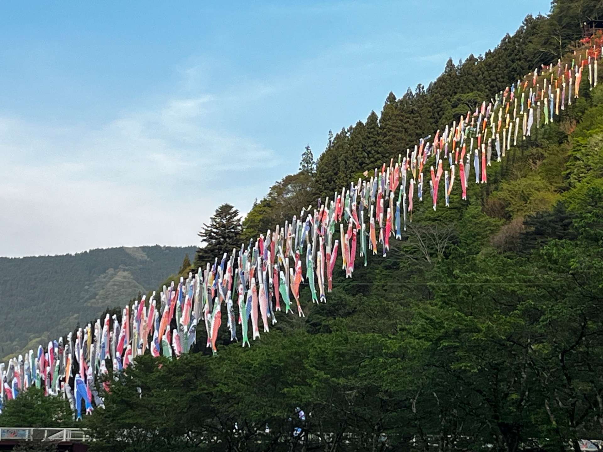 ゆるふわ林道ツーリング